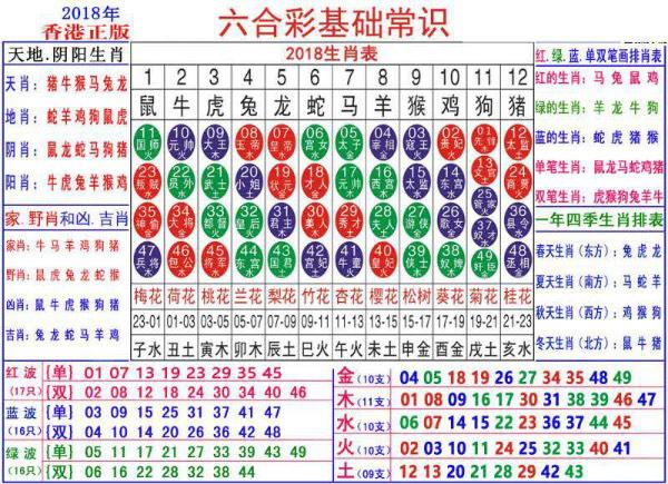 2024澳门正版资料大全资料生肖卡,探索澳门正版资料大全与生肖卡的独特魅力