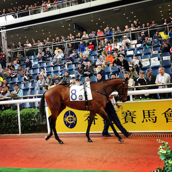 香港马买马网站www,香港马买马网站www——探索赛马产业的数字化前沿